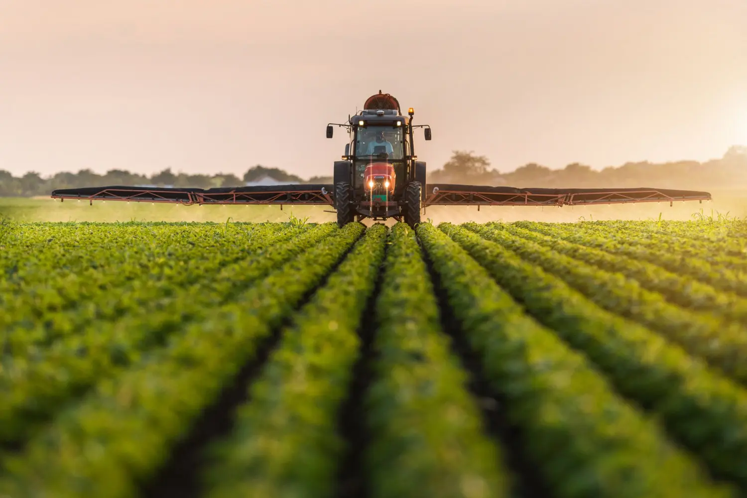 Agricultura Elysium – Produtividade vegetal com Lithothamnium
